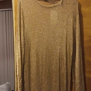 Zara. Sparkly cover up. New with tag. Size L.